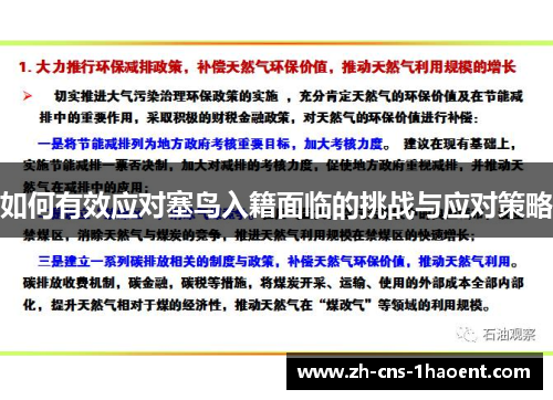 如何有效应对塞鸟入籍面临的挑战与应对策略