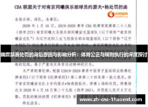 魏震禁赛处罚的背后原因与影响分析：体育公正与规则执行的深度探讨
