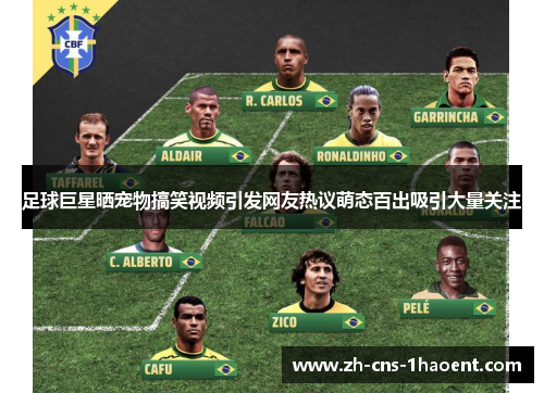 足球巨星晒宠物搞笑视频引发网友热议萌态百出吸引大量关注 足球巨星晒宠物搞笑视频引发网友热议萌态百出吸引大量关注