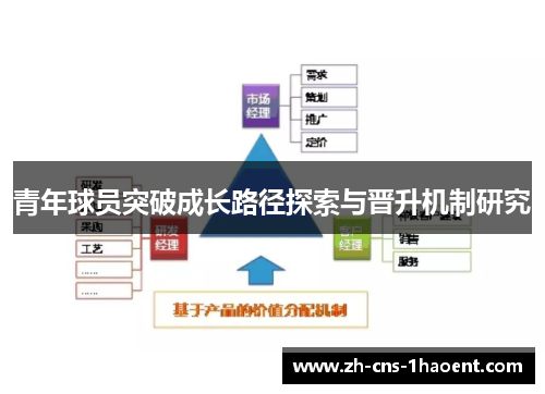 青年球员突破成长路径探索与晋升机制研究